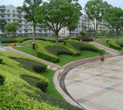 【山東泰聯(lián)集團(tuán):園林綠化建造花園水池的應(yīng)注意的幾個(gè)事項(xiàng)】價(jià)格,廠家,工程施工