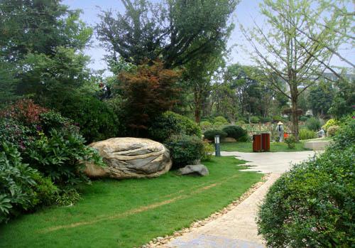 施工現場實拍 #園林綠化工程 #工地實景拍攝 一壺老酒入.