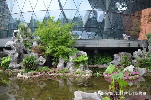 2016年度杭州市優(yōu)秀園林綠化工程綜合組金獎(jiǎng) 杭州國際博覽中心項(xiàng)目屋面園林綠化工程