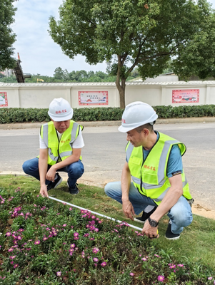 管護(hù)中心綠化工程質(zhì)量安全服務(wù)站開展 質(zhì)量安全專項(xiàng)檢查