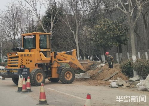 青島市區(qū)園林綠化工程有序復(fù)工，施工人員忙碌建設(shè)美麗家園