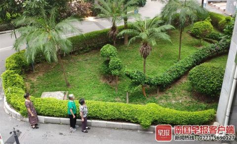 南寧綠化工人五年匠心打造動物世界主題園林，綠色藝術(shù)驚艷全城
